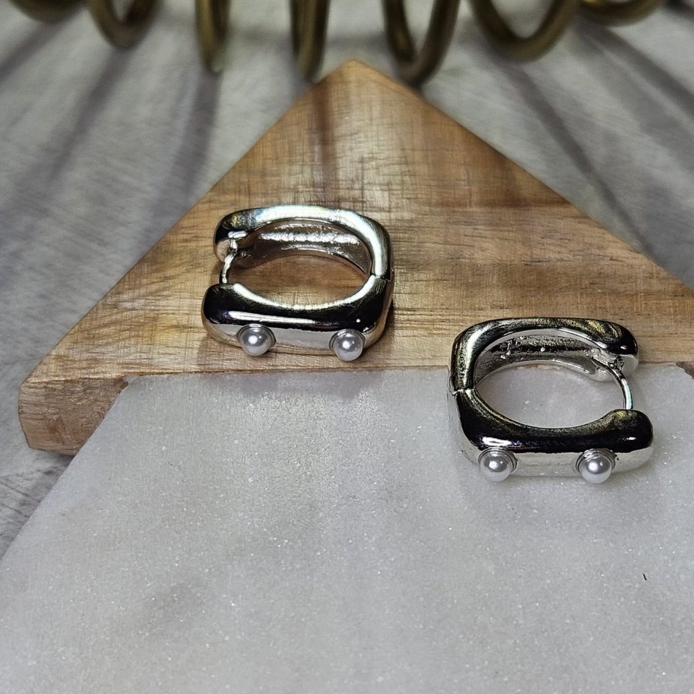 NWT Stainless Steel EARRINGS with pearls